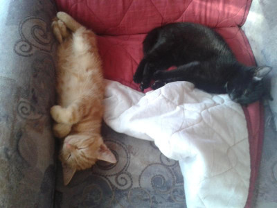 20160921_125902.jpg