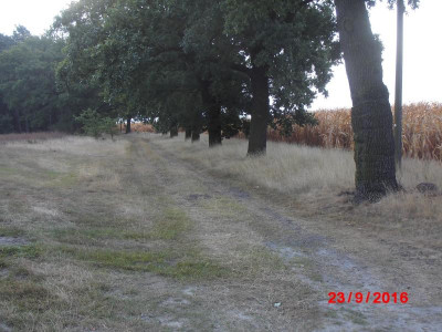 DSCI0556.JPG