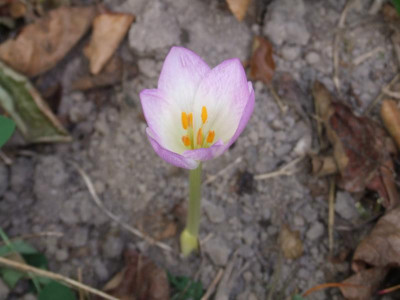 DSCF3465.JPG