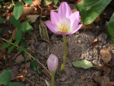 DSCF3472.JPG