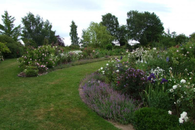 2015_0627JEndeGartenansichten0052.JPG