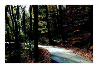 Waldansichten_1_22-10-06.jpg