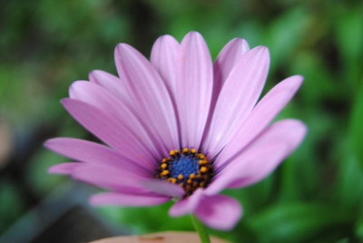september 008.jpg