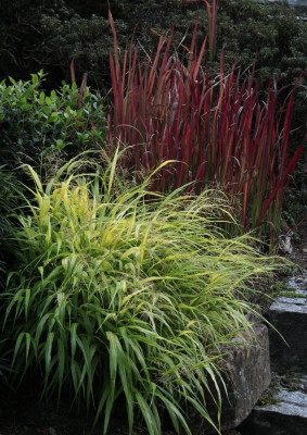 IMG_§402.jpg