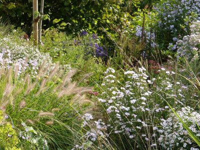 2016-09-26 Gartenimpressionen 2.jpg