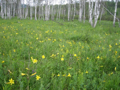 Mongolei_2006 110.jpg