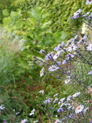 2016-09-26 Gartenimpressionen 10.jpg