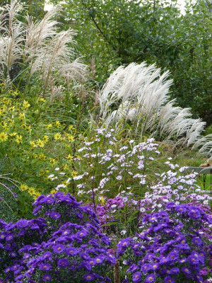2016-09-26 Gartenimpressionen 12.jpg