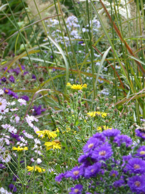 2016-09-26 Gartenimpressionen 13.jpg
