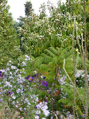 2016-09-26 Gartenimpressionen 18.jpg