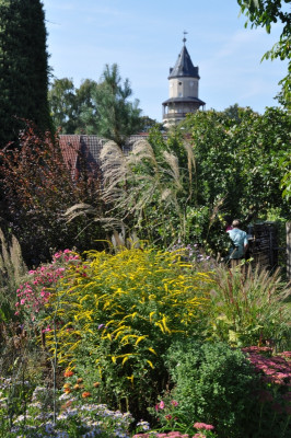 Schlossblick.jpg