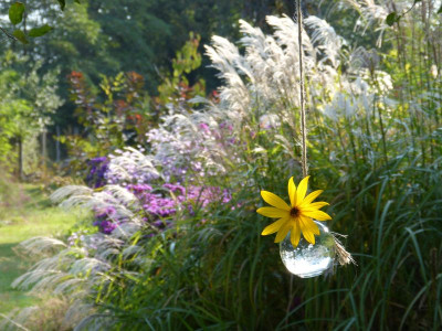 2016-09-27 Gartenimpressionen 3.jpg