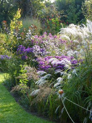 2016-09-27 Gartenimpressionen 6.jpg