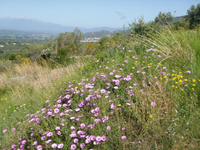 P1000093.JPG