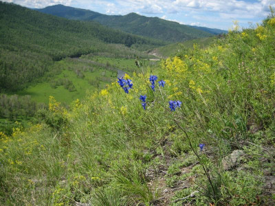 Mongolei_2006 208.jpg