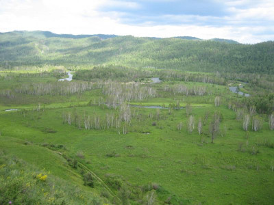 Mongolei_2006 145.jpg