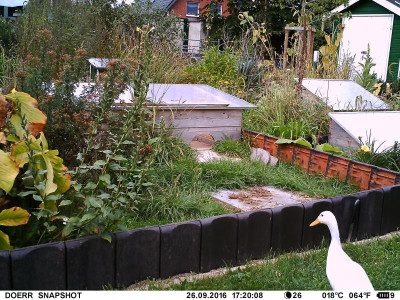 IMAG0113.JPG