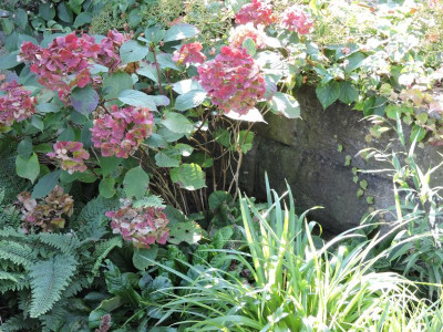 DSCN5891.JPG