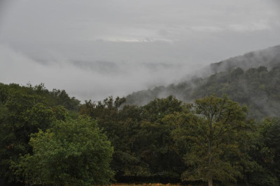 Nebel1.JPG