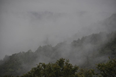Nebel2.JPG