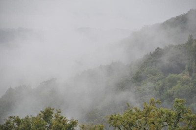 Nebel3.JPG