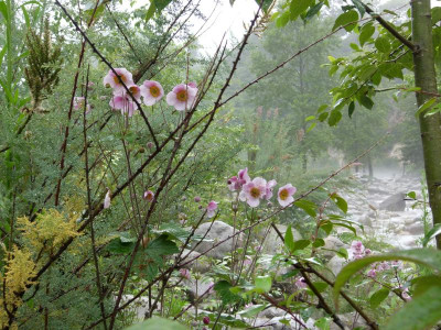 P1030209.JPG