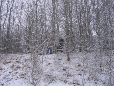 Bild1.jpg