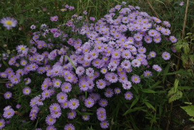 20160928_11.JPG