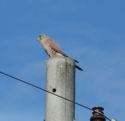 tg_160929.jpg
