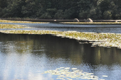 LacduMerle4.JPG