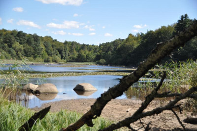 LacduMerle5.JPG