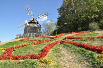 Lautrec1.JPG