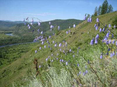 Mongolei_2006 354.jpg