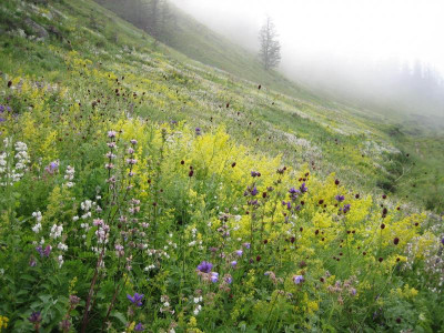 Mongolei_2006 233.jpg