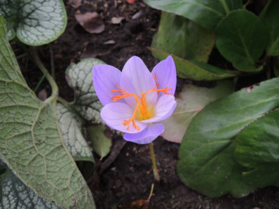 DSCN1446_1771.JPG