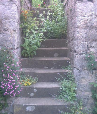 Treppe.jpg