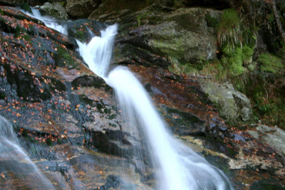 Rieslochfalle-10.jpg