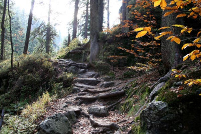 Rieslochfalle-4.jpg