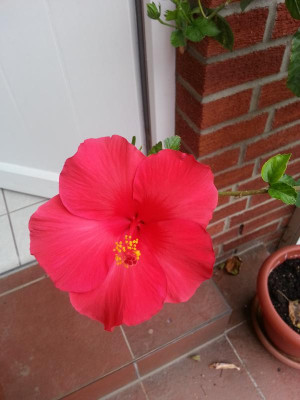 20161001_154544.jpg