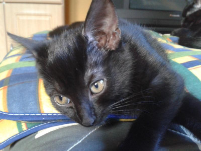 20161005_141415.jpg