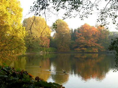 Bogateich-Oktober-2006-k.jpg