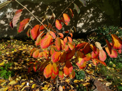 tg_131014.jpg