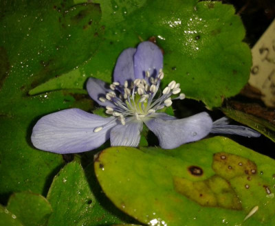 20161006_101437-1.jpg