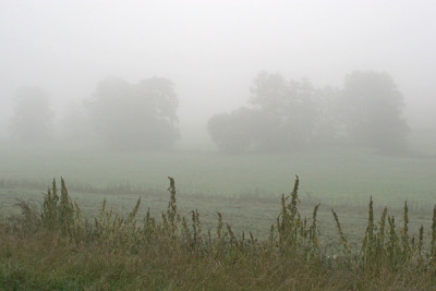 November-Waschkuechenwetter-Artemisia.jpg