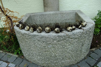 DSCF3805.JPG