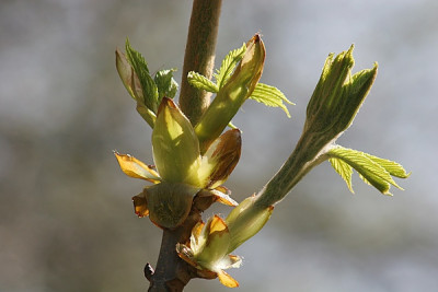 April-Aufbruch.jpg