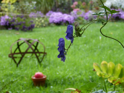 2016-10-07 Gartenimpressionen 4.jpg