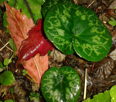 20161006_102307-1.jpg