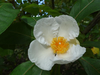 DSC09016.JPG