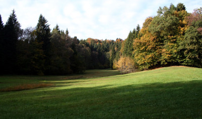 Waldschatten.jpg